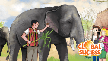 Cover: Tiếng Anh 8 (English 8 — Global Success)